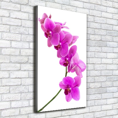 Quadro su tela canvas verticale Orchidea rosa