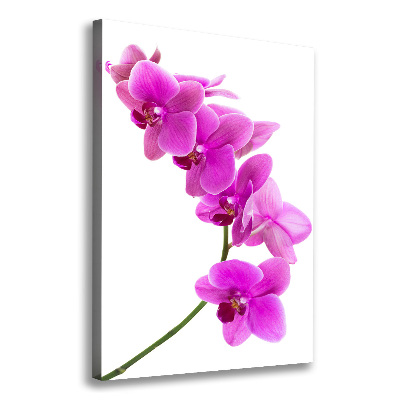 Quadro su tela canvas verticale Orchidea rosa