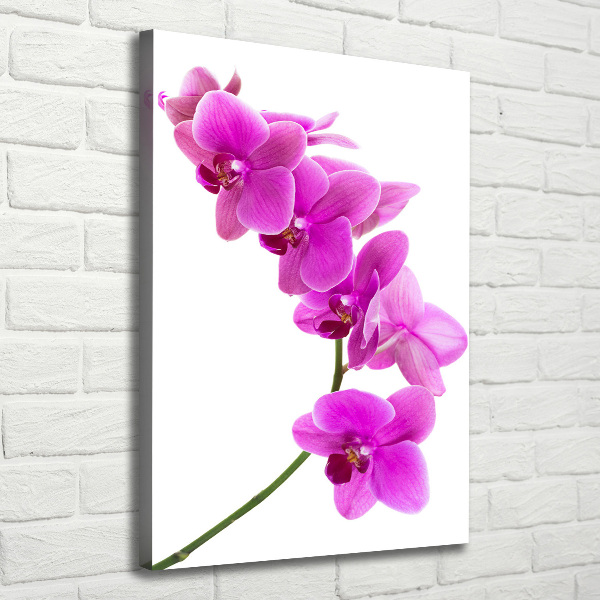 Quadro su tela canvas verticale Orchidea rosa