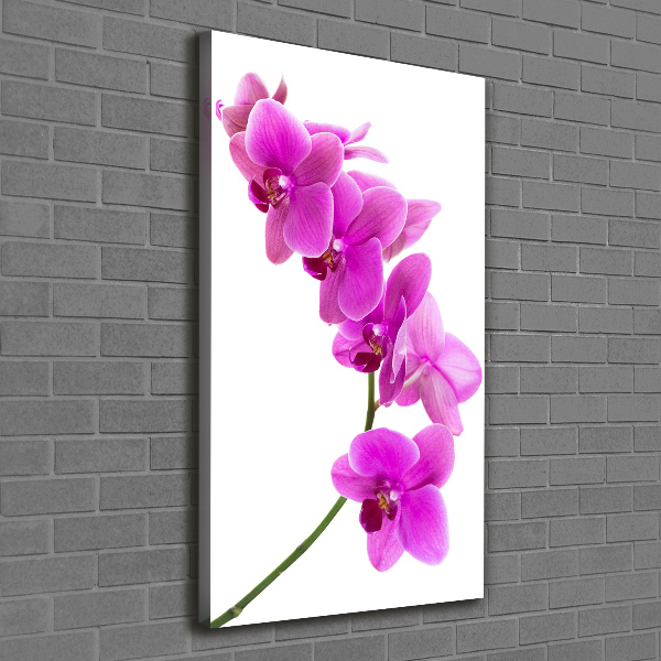 Quadro su tela canvas verticale Orchidea rosa