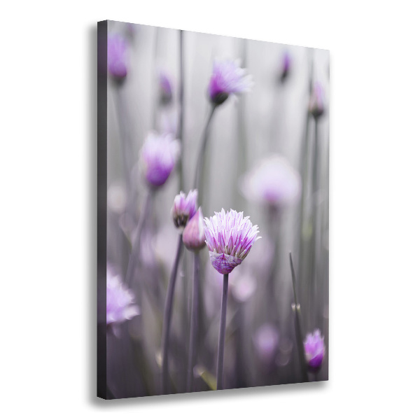 Quadro foto su tela verticale Fiori di erba cipollina