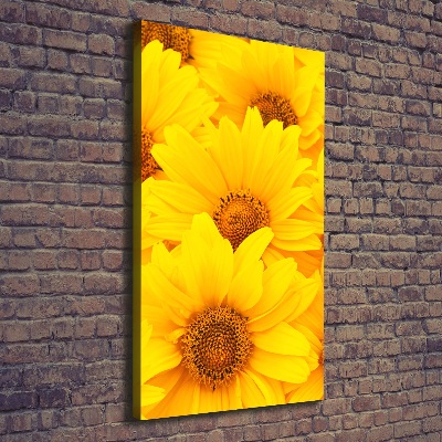 Quadro su tela canvas verticale Girasoli