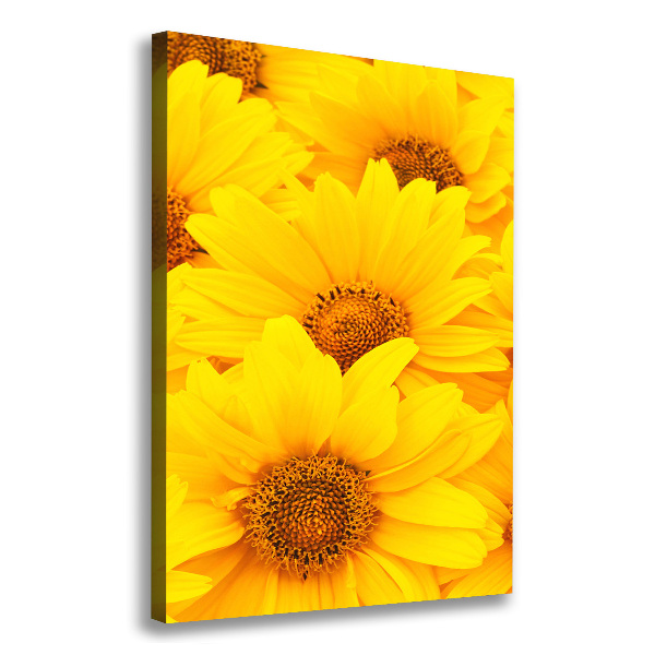 Quadro su tela canvas verticale Girasoli