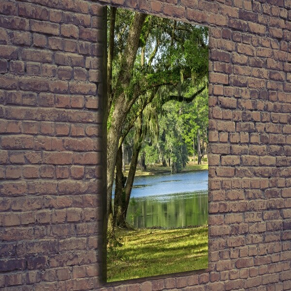 Quadro foto su tela verticale Lago nel parco