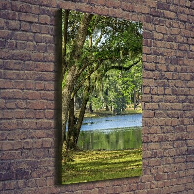 Quadro foto su tela verticale Lago nel parco