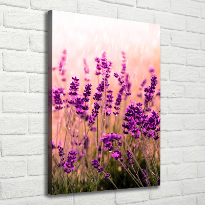Stampa quadro su tela verticale Campo di lavanda