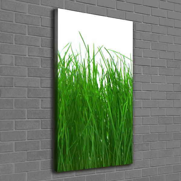 Quadro su tela canvas verticale Erba