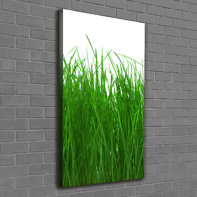 Quadro su tela canvas verticale Erba