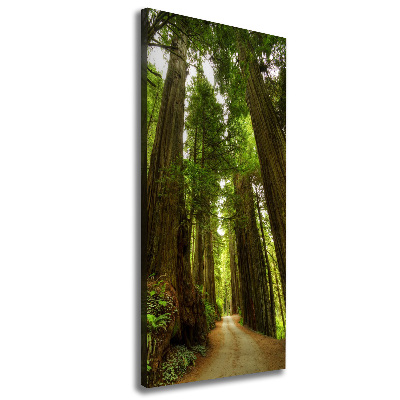 Quadro foto su tela verticale Sentiero nella foresta
