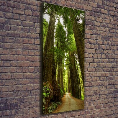 Quadro foto su tela verticale Sentiero nella foresta