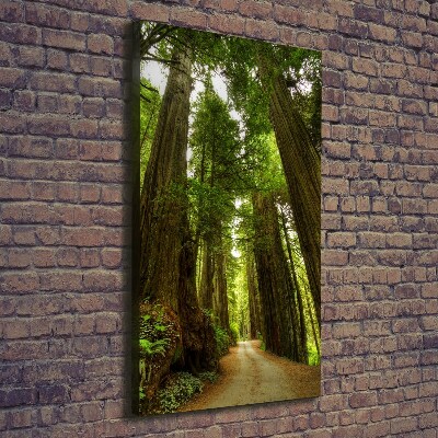 Quadro foto su tela verticale Sentiero nella foresta