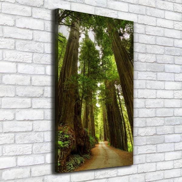 Quadro foto su tela verticale Sentiero nella foresta