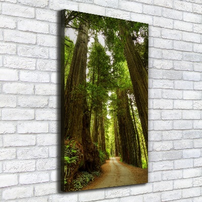 Quadro foto su tela verticale Sentiero nella foresta