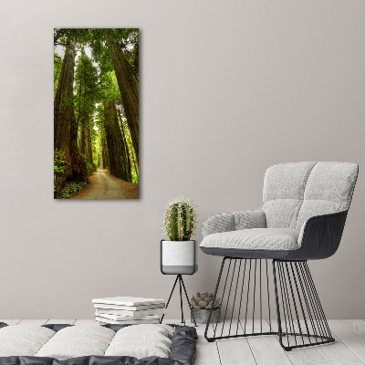 Quadro foto su tela verticale Sentiero nella foresta