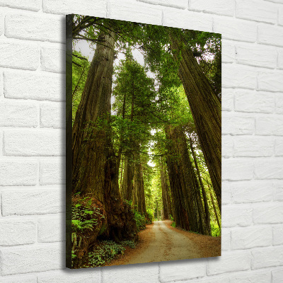 Quadro foto su tela verticale Sentiero nella foresta