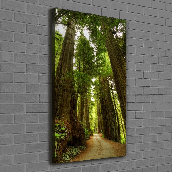 Quadro foto su tela verticale Sentiero nella foresta