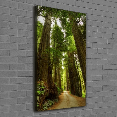 Quadro foto su tela verticale Sentiero nella foresta