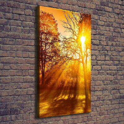 Stampa quadro su tela verticale Parco in autunno