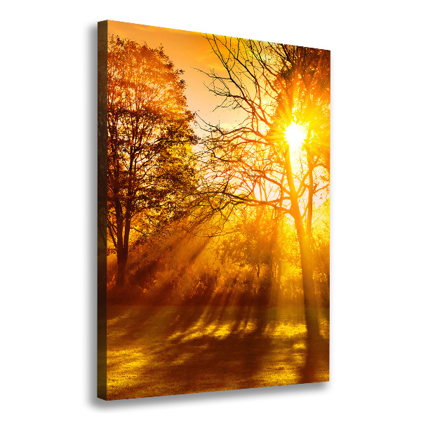 Stampa quadro su tela verticale Parco in autunno