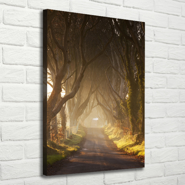 Quadro foto su tela verticale Sentiero nella foresta