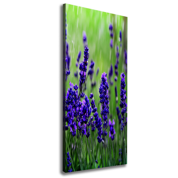 Quadro su tela canvas verticale Campo di lavanda