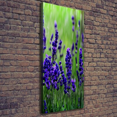 Quadro su tela canvas verticale Campo di lavanda