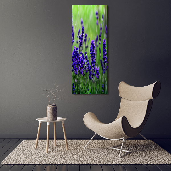 Quadro su tela canvas verticale Campo di lavanda