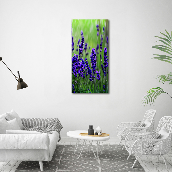 Quadro su tela canvas verticale Campo di lavanda