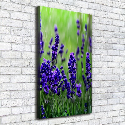 Quadro su tela canvas verticale Campo di lavanda