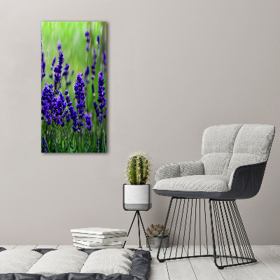 Quadro su tela canvas verticale Campo di lavanda