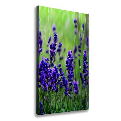 Quadro su tela canvas verticale Campo di lavanda