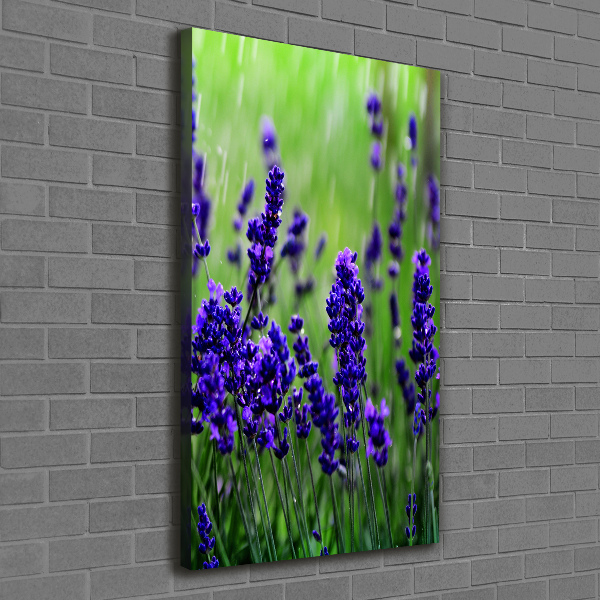 Quadro su tela canvas verticale Campo di lavanda
