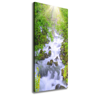 Quadro su tela canvas verticale Torrente di montagna