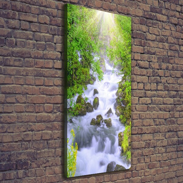 Quadro su tela canvas verticale Torrente di montagna