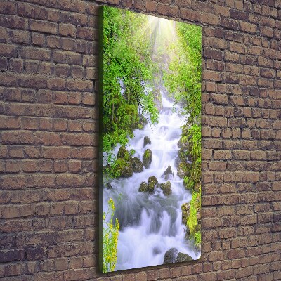 Quadro su tela canvas verticale Torrente di montagna