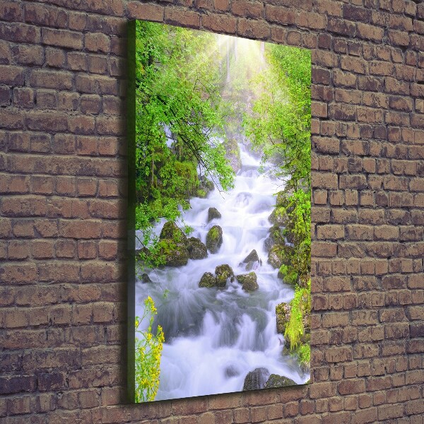 Quadro su tela canvas verticale Torrente di montagna