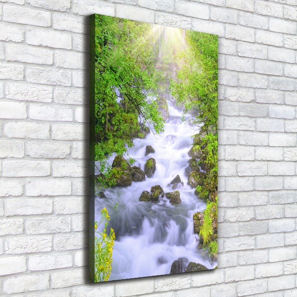 Quadro su tela canvas verticale Torrente di montagna