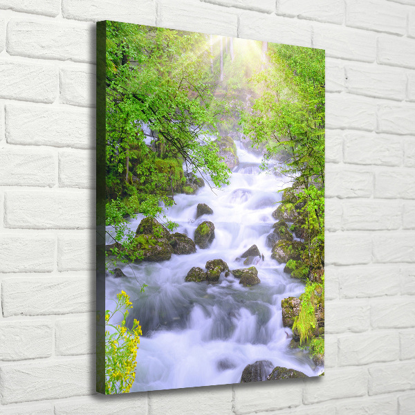 Quadro su tela canvas verticale Torrente di montagna