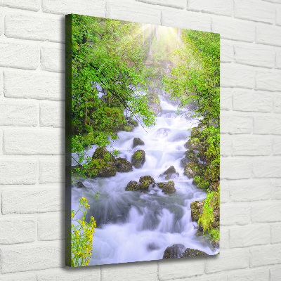 Quadro su tela canvas verticale Torrente di montagna