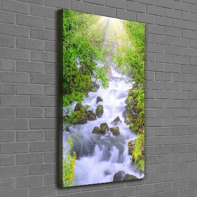 Quadro su tela canvas verticale Torrente di montagna