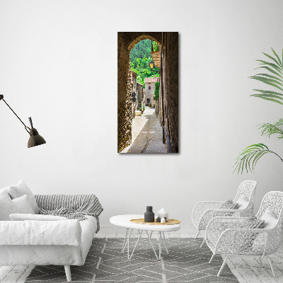 Quadro su tela canvas verticale Una strada affascinante