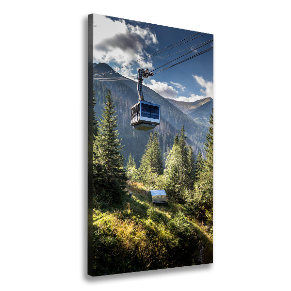 Quadro su tela canvas verticale Montagne russe