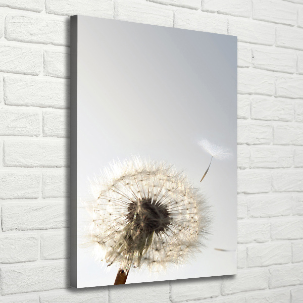 Quadro su tela canvas verticale Dente di leone