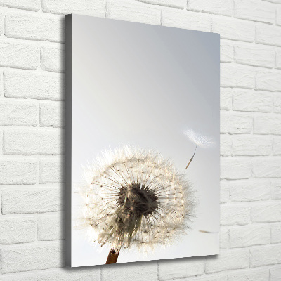 Quadro su tela canvas verticale Dente di leone