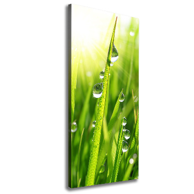 Stampa quadro su tela verticale Fili d'erba
