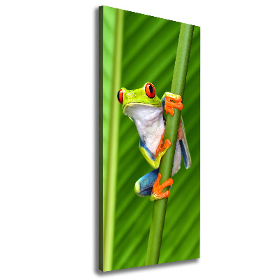 Quadro foto su tela verticale Rana arboricola europea