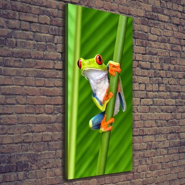 Quadro foto su tela verticale Rana arboricola europea