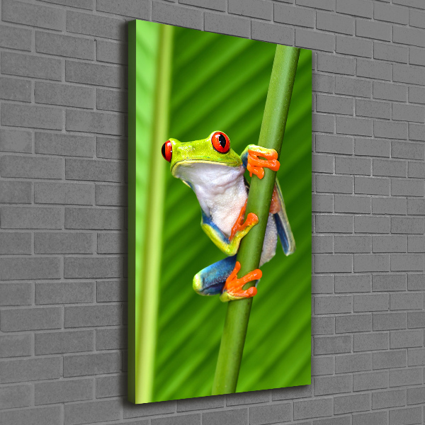 Quadro foto su tela verticale Rana arboricola europea