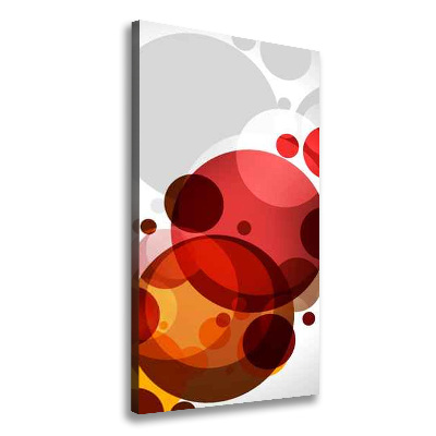 Quadro foto su tela verticale Astrazione del cerchio