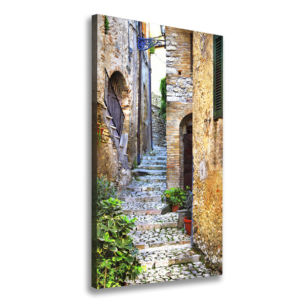 Quadro su tela canvas verticale Strade italiane
